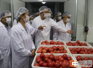 河南省局举办全省餐饮食品安全监管培训班 强化餐饮管理